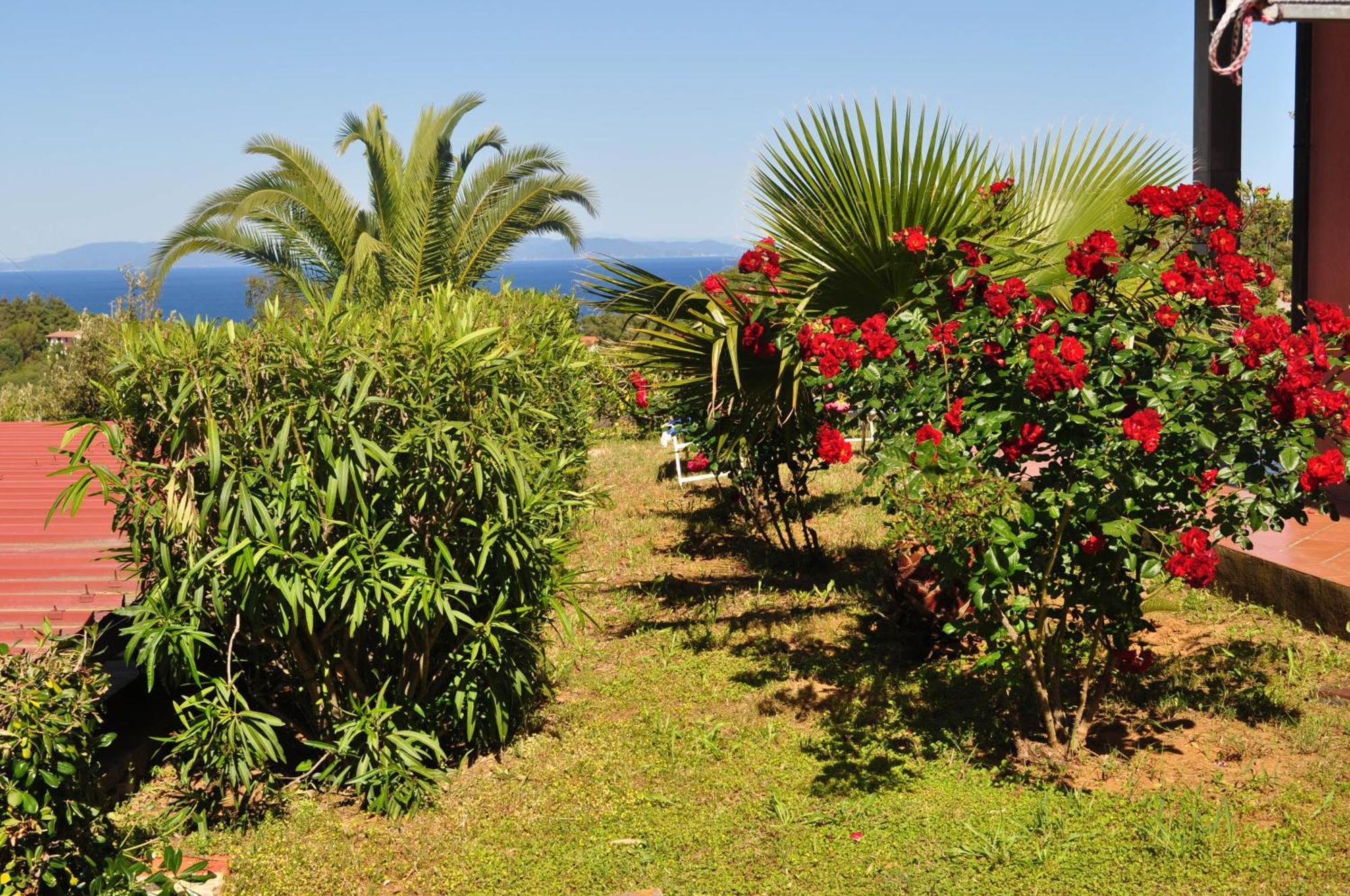 Residence Belvedere Capoliveri  Dış mekan fotoğraf